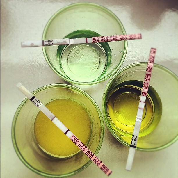 7154291223_18710e18d2_o