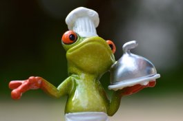 frog-cooking-eat-kitchen-gourmet-food-preparation