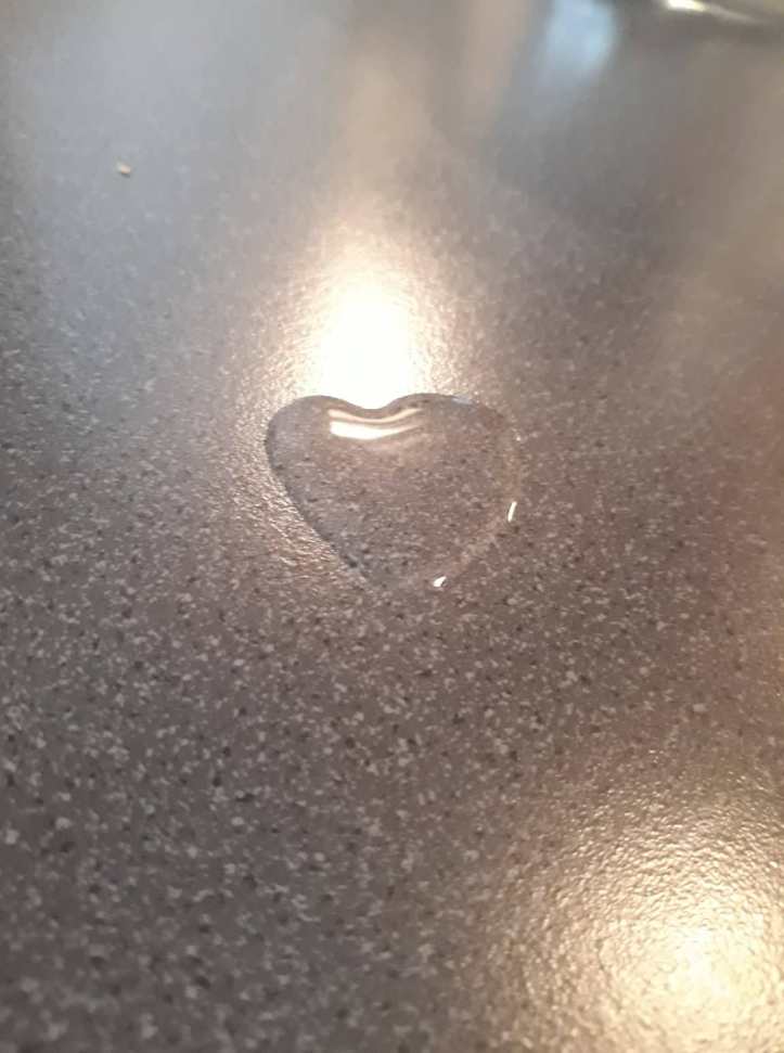 49592349_2251675361538945_4158047810232516608_n